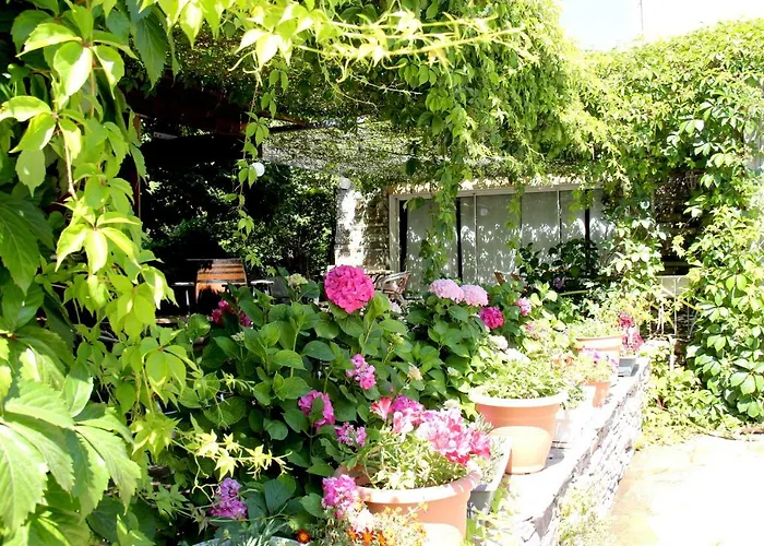 Accendi Pipa 2* Campitello